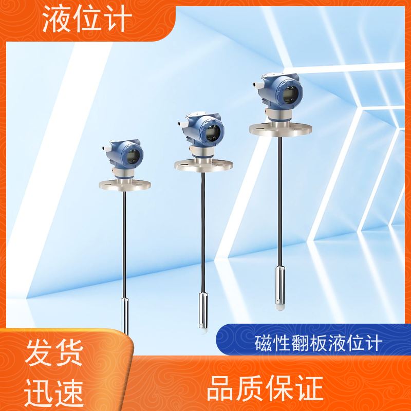 天康 探针式液位计 精度 ±0.1％ 源头工厂 规模生产