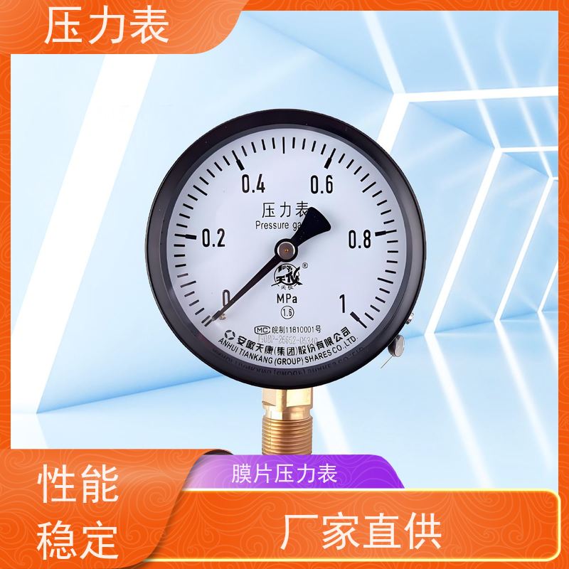 天康 精密压力表 公称直径 60mm 批发 源头厂家 质量保障