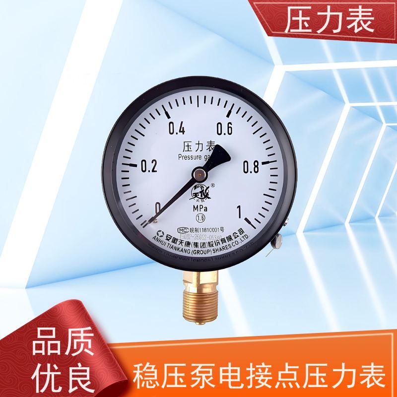 天康 耐震压力表 公称直径 60mm 批发 源头厂家 质量保障