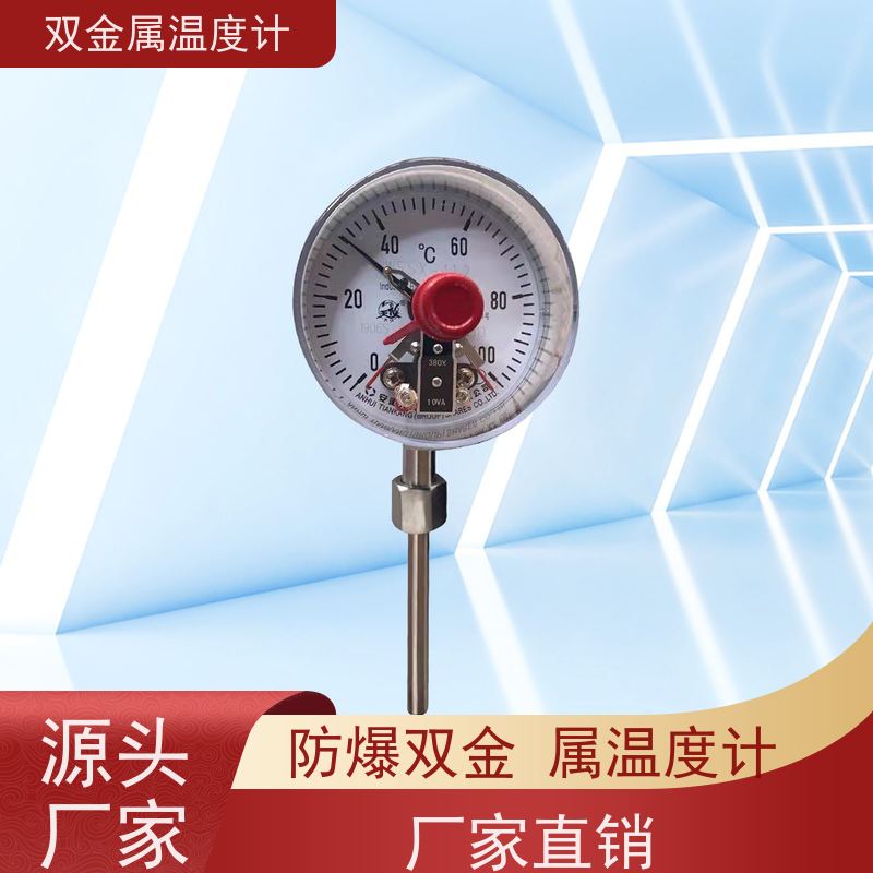 天康 表面双金属温度计 固定式安装 品牌厂家 经久耐用
