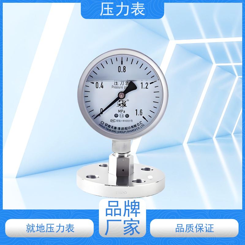 天康 防震压力表 公称直径 60mm 批发 源头厂家 质量保障