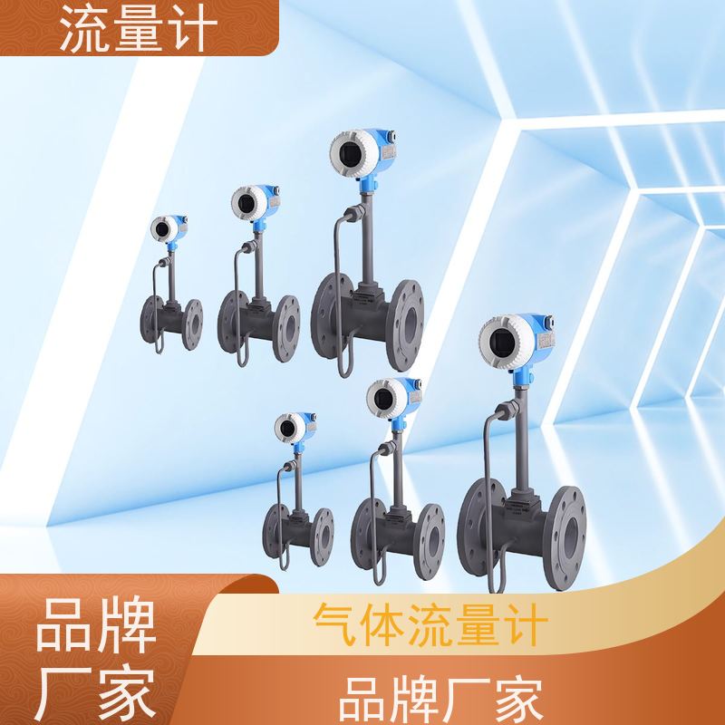 天康 蒸汽涡街流量计 测量精度 ±1.5% 实力工厂 做工细致