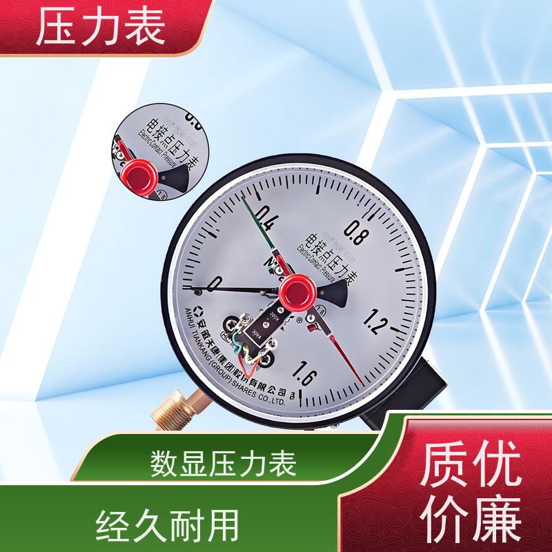 天康 隔膜式压力表 公称直径 60mm 批发 源头厂家 质量保障