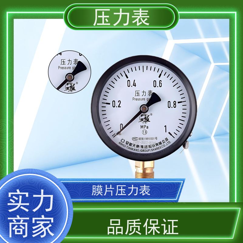 天康 正负压力表 公称直径 60mm 批发 源头厂家 质量保障