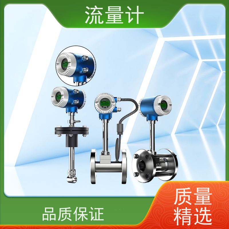 天康 燃油流量计 测量精度 ±1.5% 实力工厂 做工细致