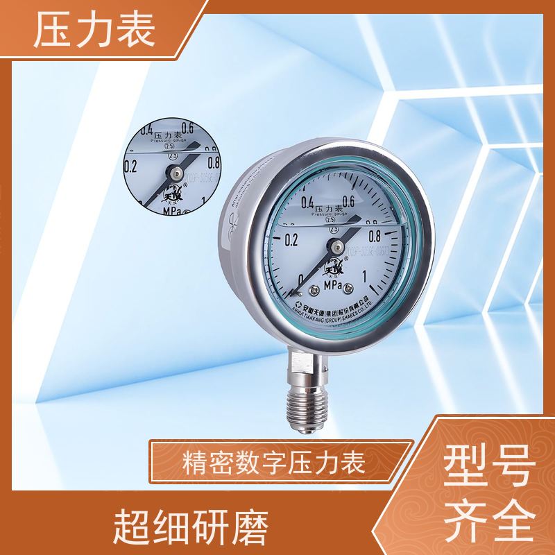 天康 地热压力表 公称直径 60mm 批发 源头厂家 质量保障