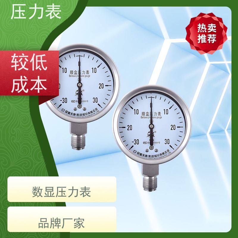 天康 双针压力表 环境温度 100℃ 批发 厂家制造 品类齐全