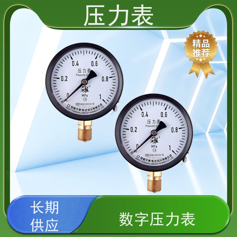 天康 耐震压力表 环境温度 100℃ 批发 源头厂家 质量保障