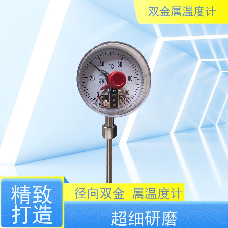 天康 径向式双金属温度计 法兰安装 品牌厂家 经久耐用