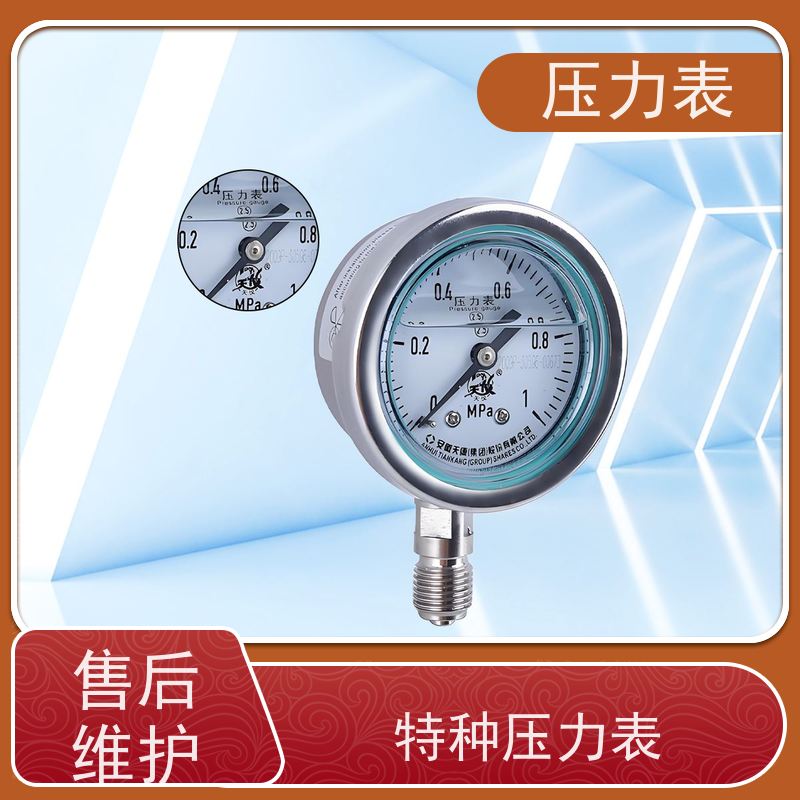 天康 记忆型压力表 环境温度 100℃ 批发 实力厂家 品质优越