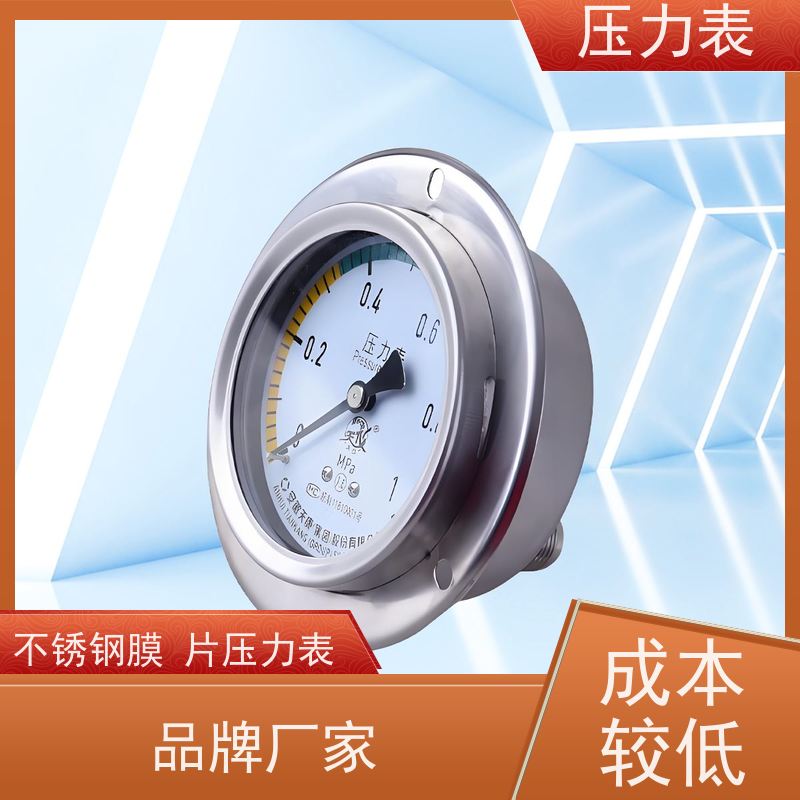 天康 高压压力表 环境温度 100℃ 批发 源头厂家 质量保障