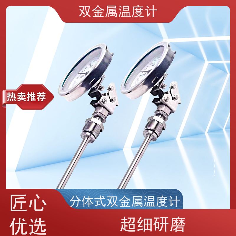 天康 径向式双金属温度计 固定式安装 品牌厂家 经久耐用