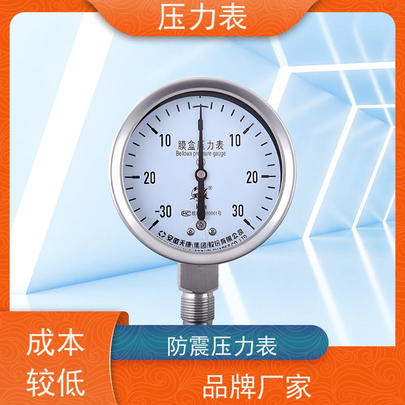 天康 轴向带边压力表 公称直径 60mm 批发 源头厂家 质量保障