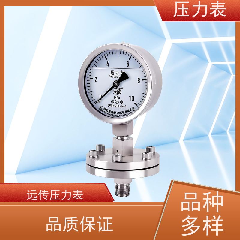 天康 二氧化碳压力表 公称直径 60mm 批发 源头厂家 质量保障