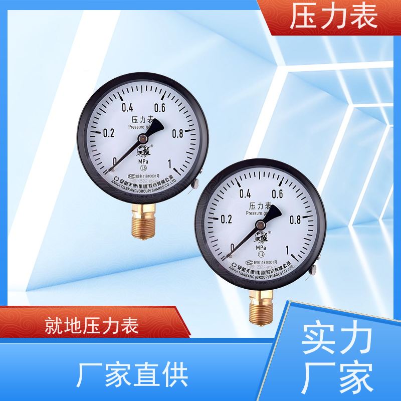 天康 船用压力表 公称直径 60mm 批发 源头厂家 质量保障