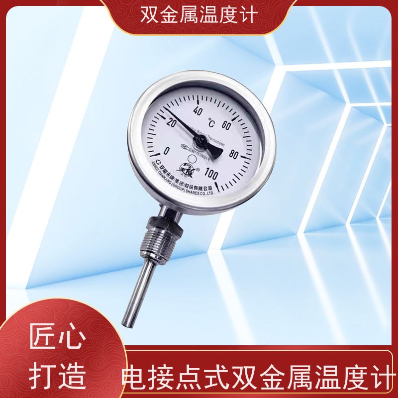 天康 e+h双金属温度计 固定式安装 品牌厂家 经久耐用