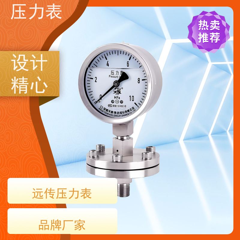 天康 天然气压力表 环境温度 100℃ 批发 实力厂家 品质优越