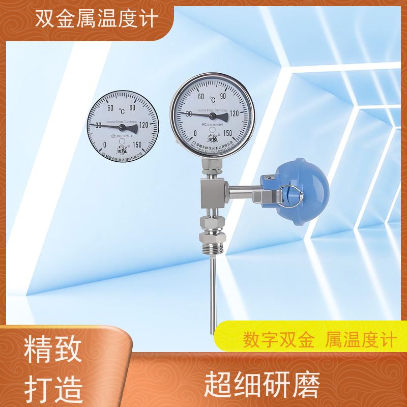 天康 国标双金属温度计 法兰安装 品牌厂家 经久耐用