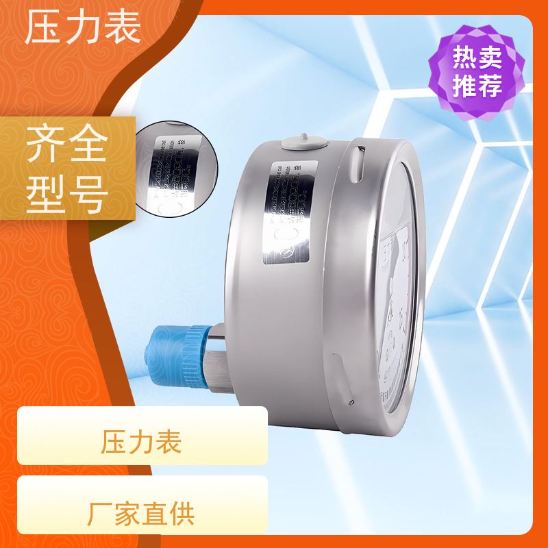 天康 高压压力表 公称直径 60mm 批发 源头厂家 质量保障