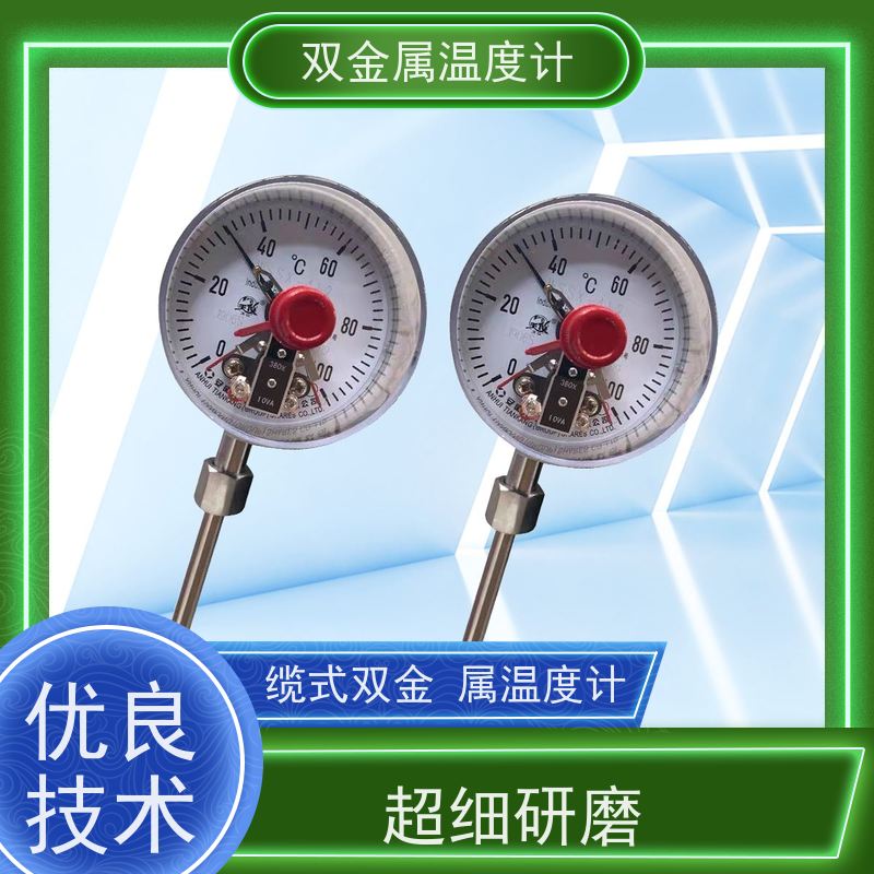 天康 工业用双金属温度计 法兰安装 厂家供应 货源充足