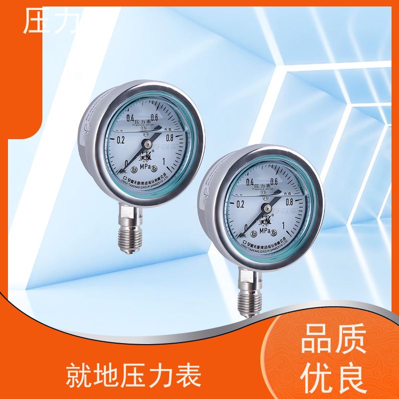 天康 就地压力表 公称直径 60mm 批发 源头厂家 质量保障