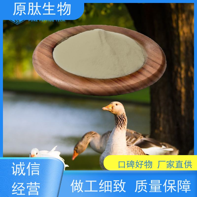 原肽生物 含量99% 水解角蛋白化妆品原料 证件齐全