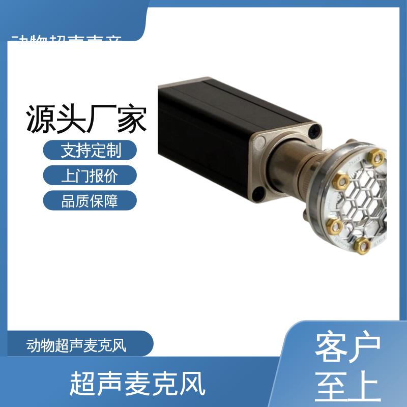 德国Avisoft 超声导波检测仪 80 x 42 x 130 厂家制造供应