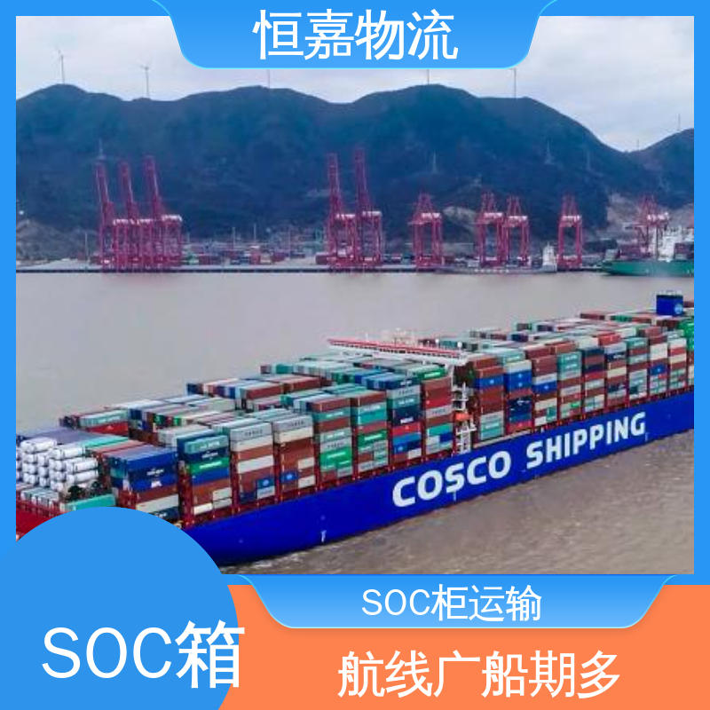 恒嘉物流 天津到上海 soc柜订舱 20GP小柜 专业调运