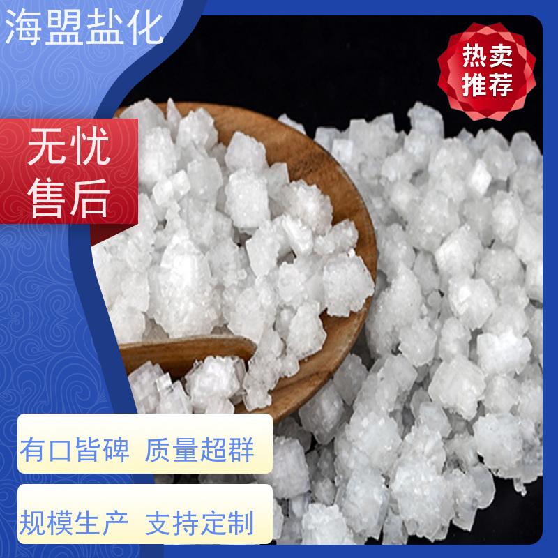 海盟盐化 高纯度 腌制盐 粗细规格都有 品质保证