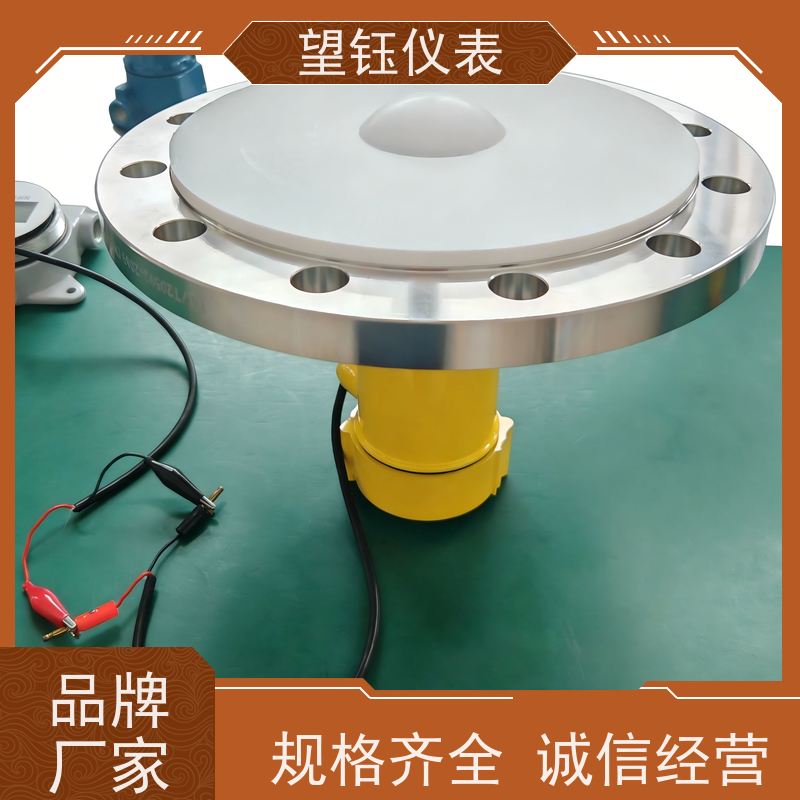 望钰GDRD60缆式雷达液位计 非接触测量 快捷发货
