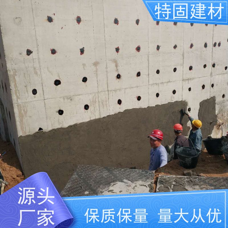修补加固防水砂浆 适应性强 工厂供应 发货及时 特固建材