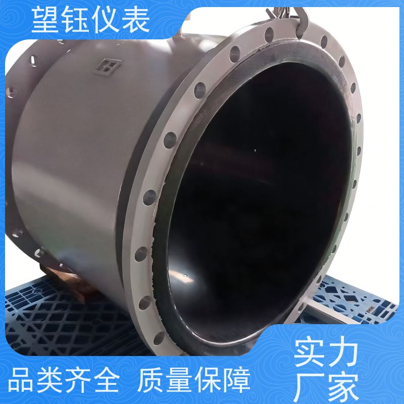 望钰DN32/DN40污水电磁流量计 RS485通讯 厂家供应