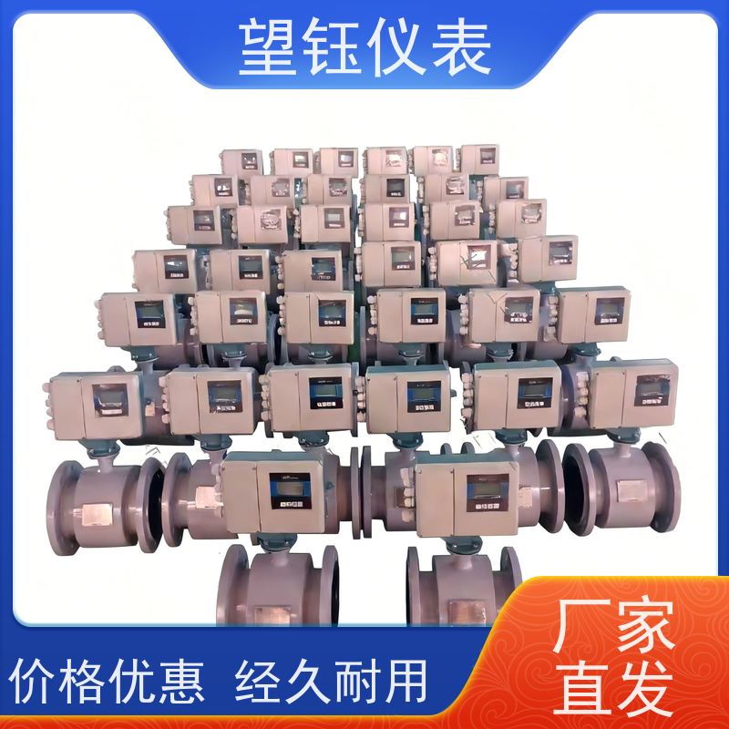 望钰DN50/DN65化工酸碱液电磁流量计 4-20mA输出 生产厂家