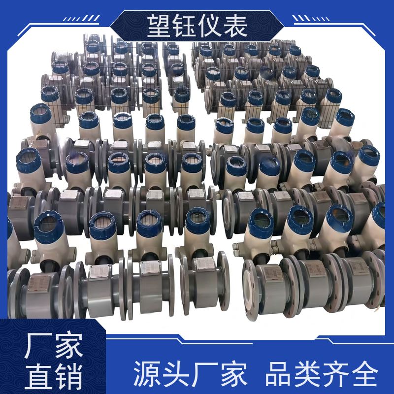 望钰DN10/DN15哈氏合金电极流量计 RS485通讯 生产厂家