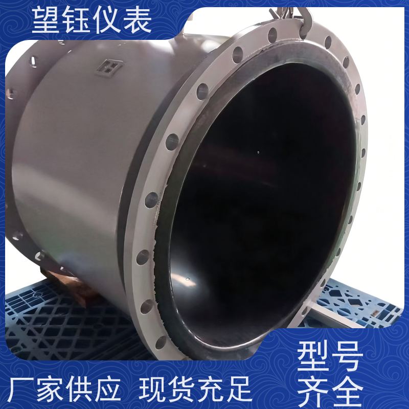 望钰DN100电镀废水电磁流量计 RS485通讯 厂家供应