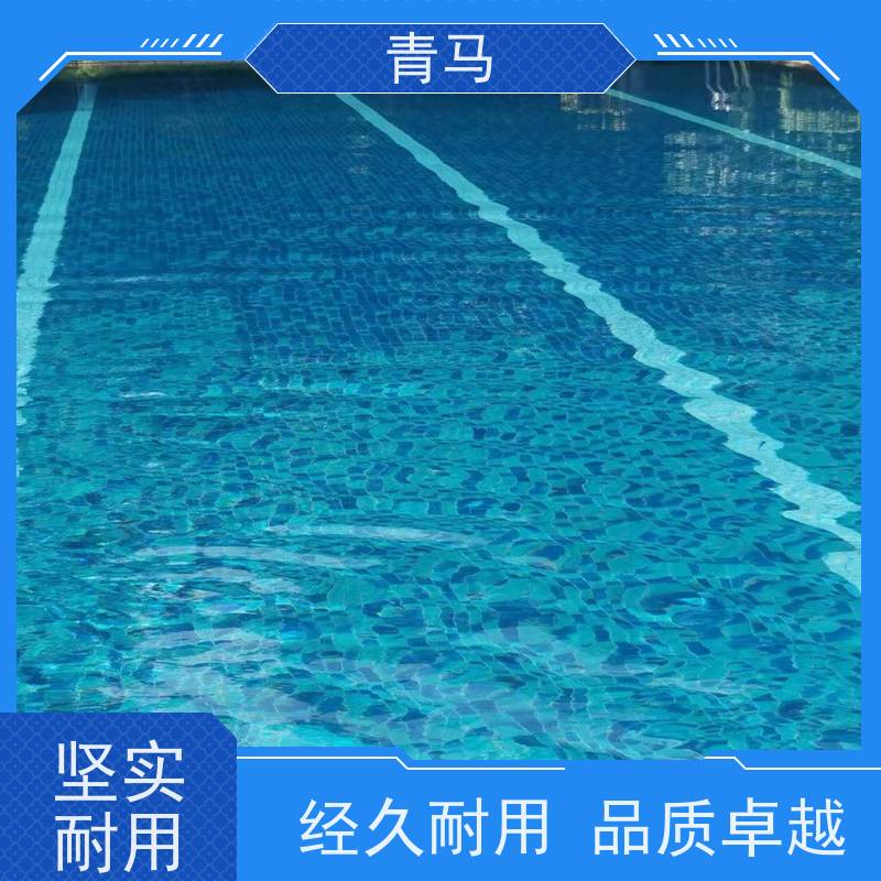 青马 户外游泳池 适用于星级酒店 设计 施工 维护 一站式服务