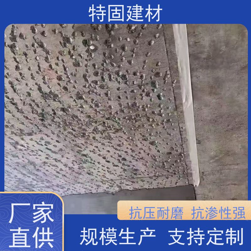 修补加固防水砂浆 高流态耐腐蚀 规格齐全 生产厂家 特固建材