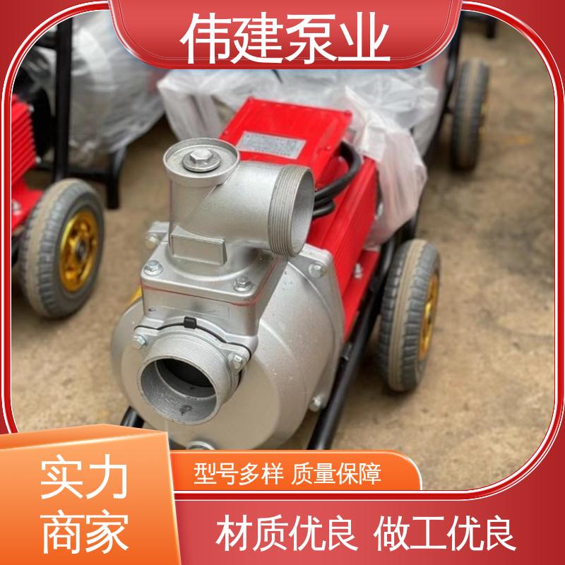 伟建供应 三叶转子泵 噪音小体积小 粘度物料输送用 规格齐全