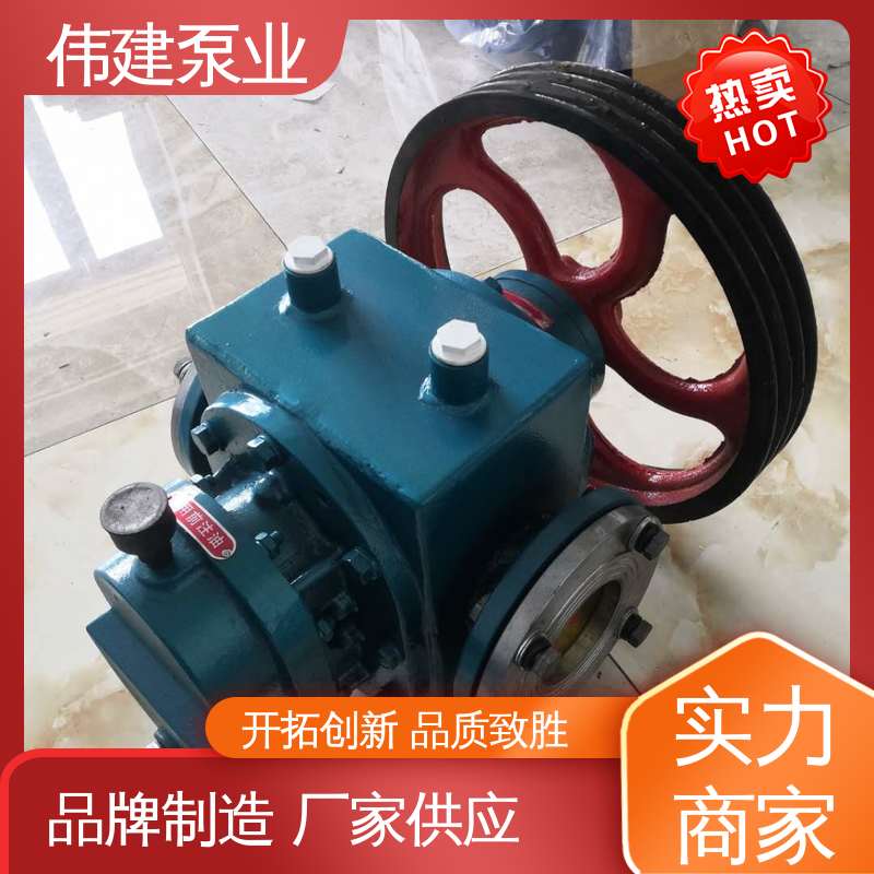 伟建生产 涂料油漆输送用 LCX罗茨泵 无泄漏效率高 支持定制