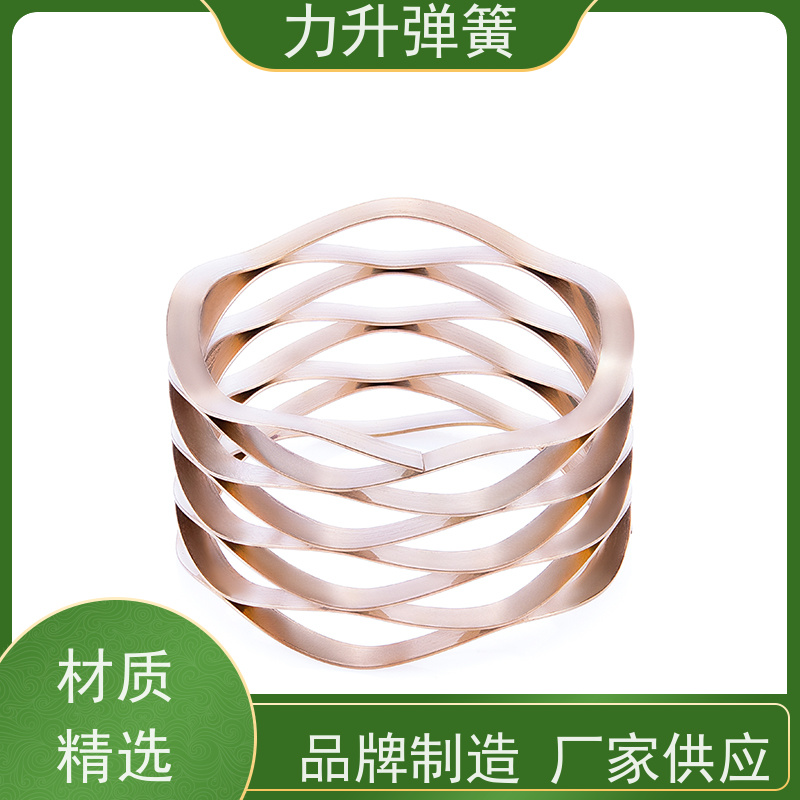 机械密封波形弹簧 创新设计 节省轴向空间 大量库存 快速发货 力升