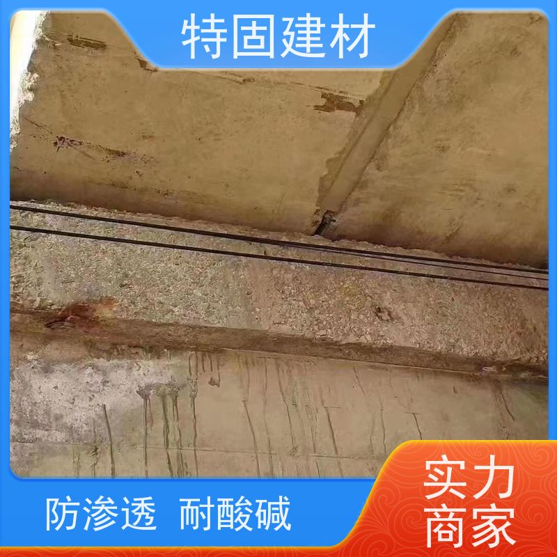 防水防腐砂浆 防渗透耐酸碱 规格齐全 生产厂家 特固建材