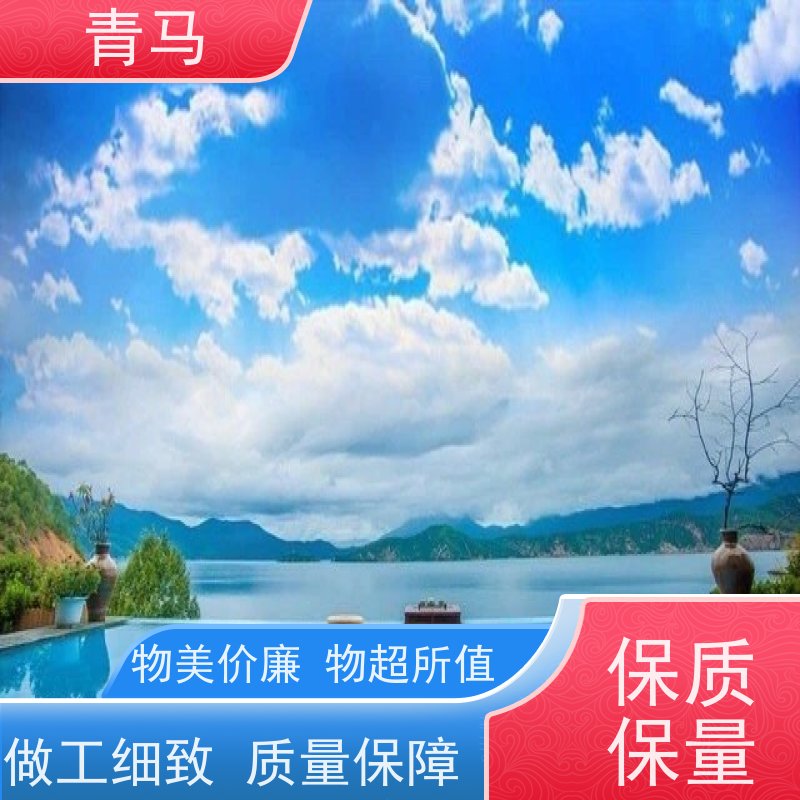 青马 游泳池 适用于温泉度假村 现代简约 多种颜色