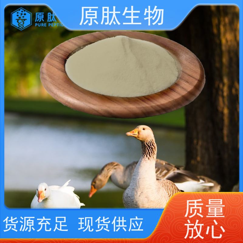 原肽生物 含量99% 水解角蛋白肽 高含量 证件齐全