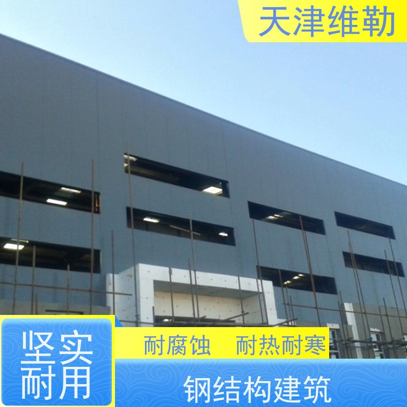 天 津维勒 钢结构鸡舍 球形网架 H型钢梁 空间利用率高