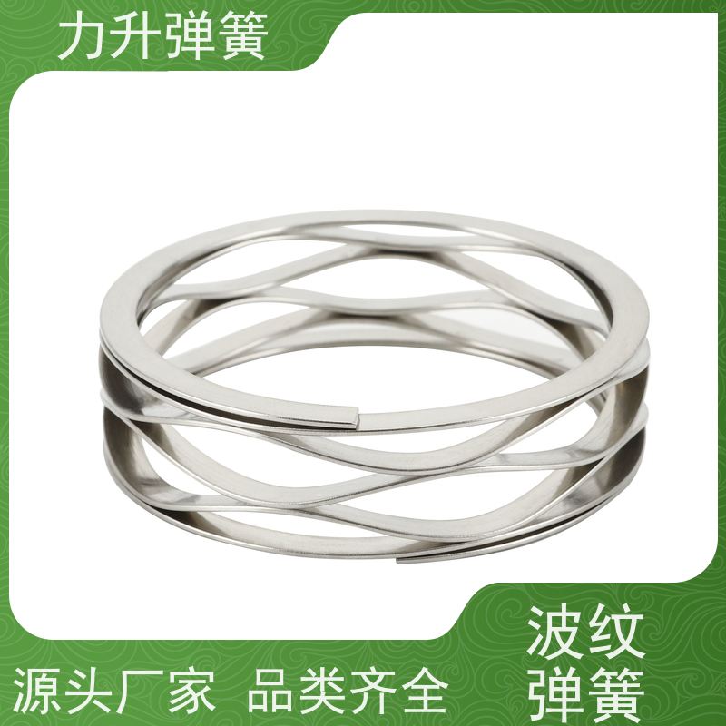 多层波形弹簧 严格选材 免费设计 大量标准件库存 力升