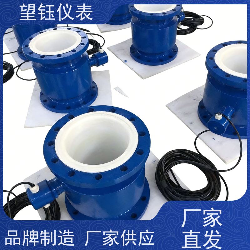 望钰DN20/DN25食品饮料电磁流量计 RS485通讯 规格齐全