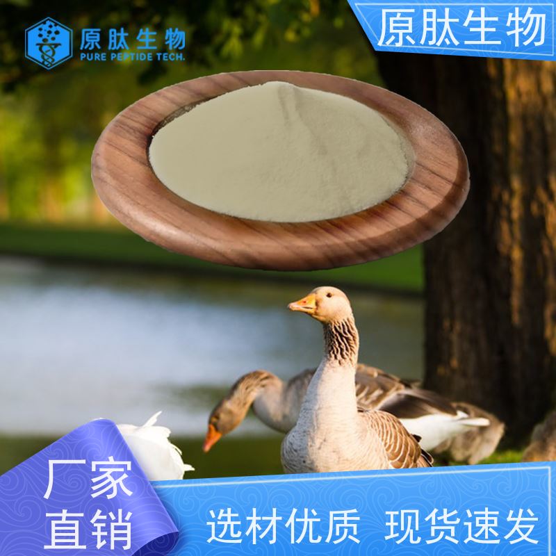 原肽生物 含量99% 高纯度水解角蛋白 封关红利政策