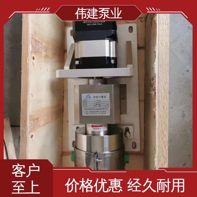 伟建定制 耐腐蚀易清洁 碳素合金钢材质 稳定推送 鲅鱼馅灌装机