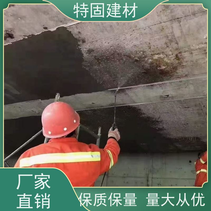 水性环氧树脂砂浆 抗渗性强 规格齐全 生产厂家 特固新型建材