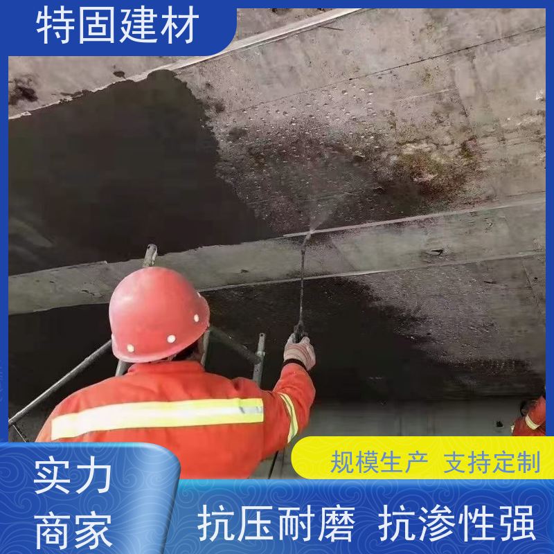 水性环氧树脂砂浆 抗渗性强 长期生产供应 特固建材